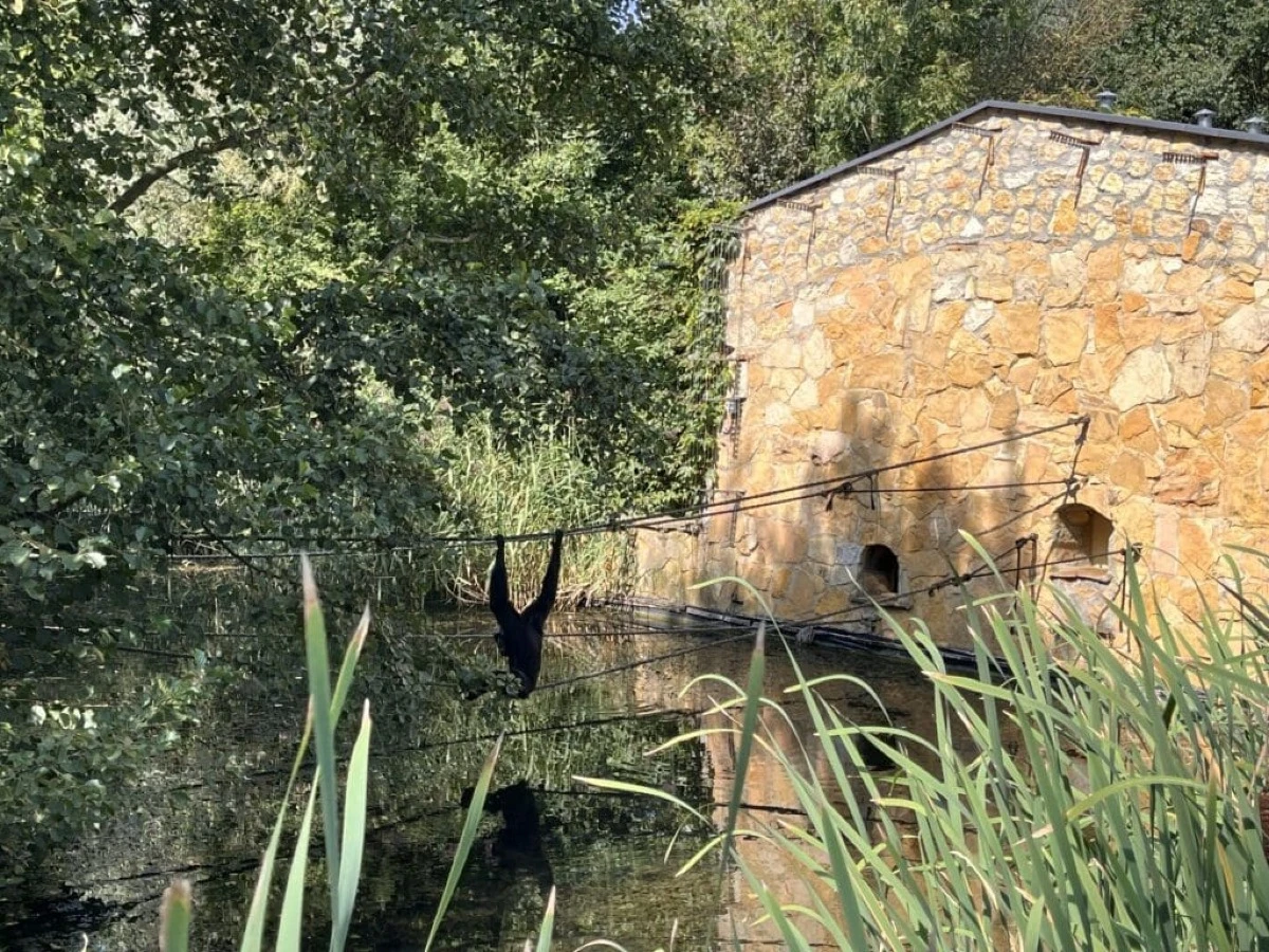 Mieszkańcy ZOO w Opolu