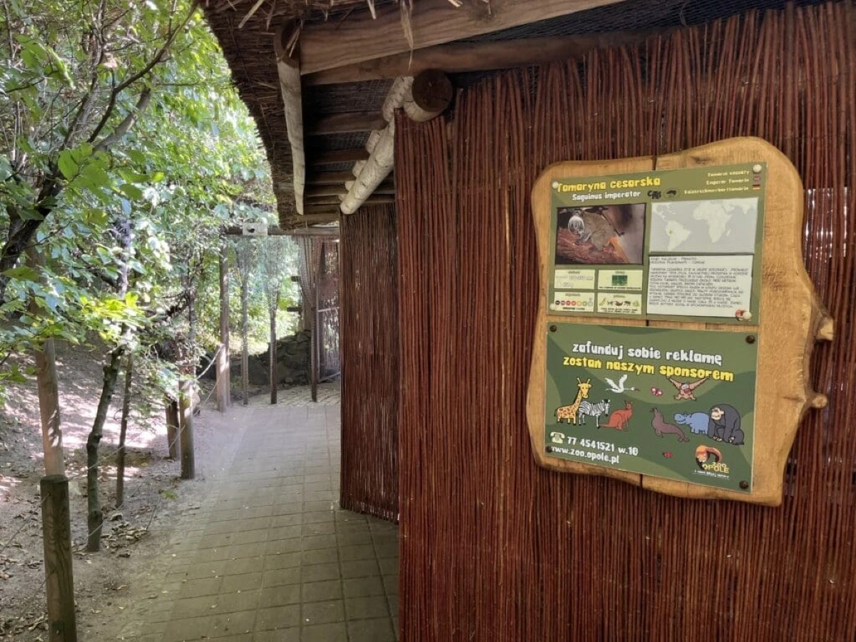 Mieszkańcy ZOO w Opolu