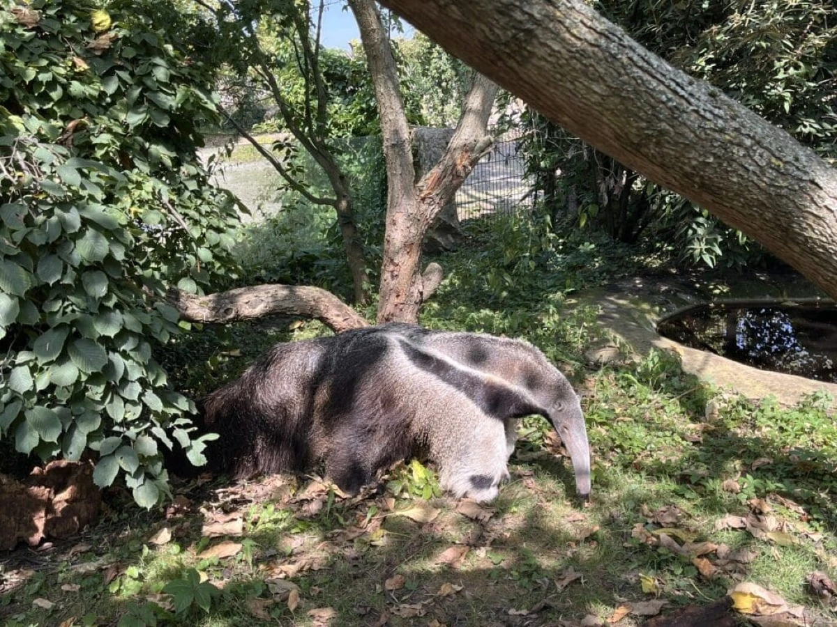 Mieszkańcy ZOO w Opolu