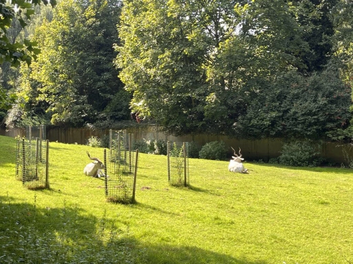 Mieszkańcy ZOO w Opolu