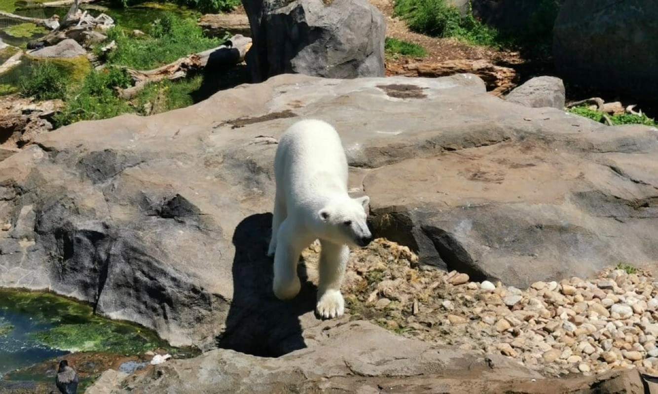 Zdjęcie 6