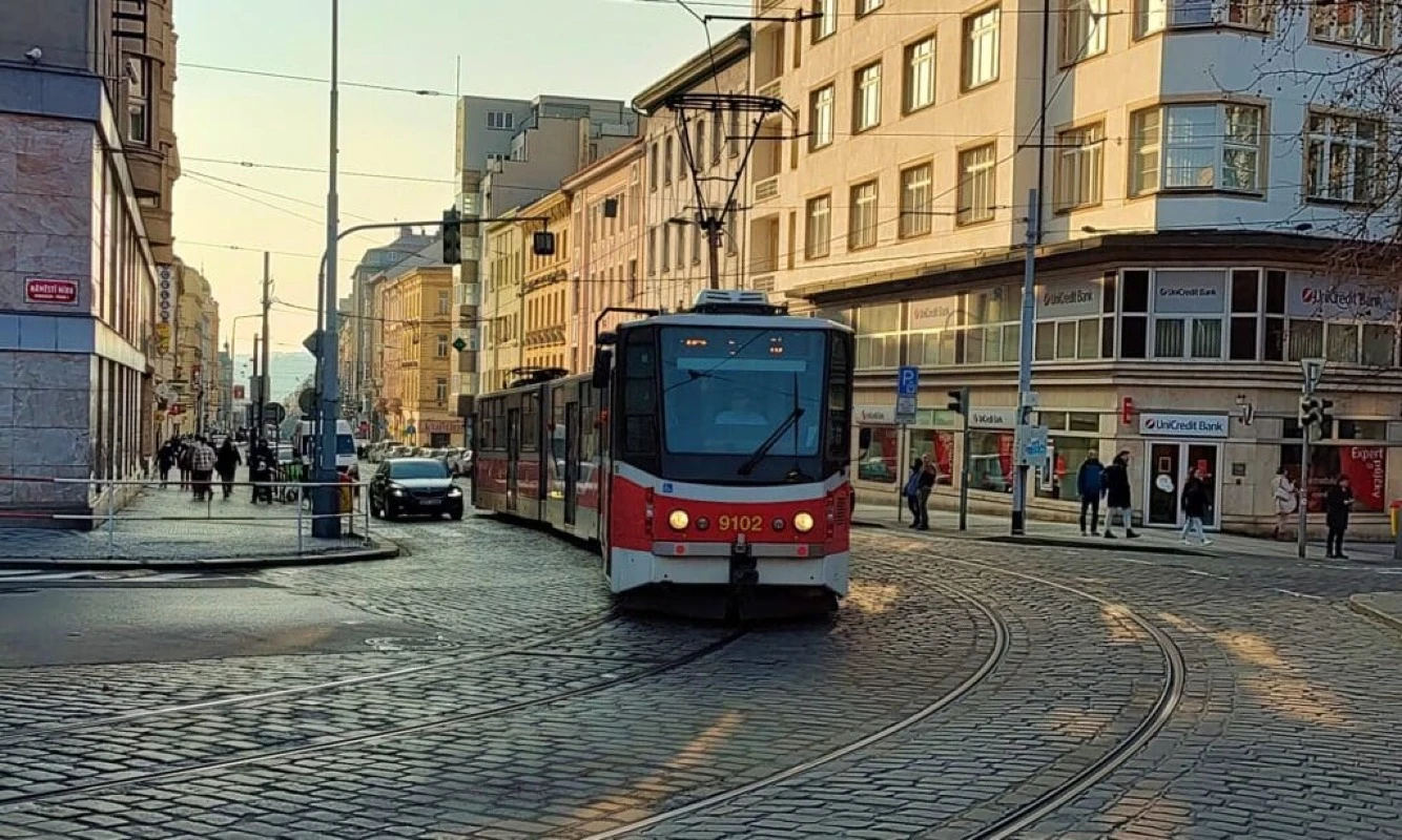 Zdjęcie 3